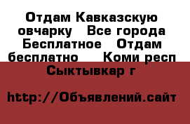 Отдам Кавказскую овчарку - Все города Бесплатное » Отдам бесплатно   . Коми респ.,Сыктывкар г.